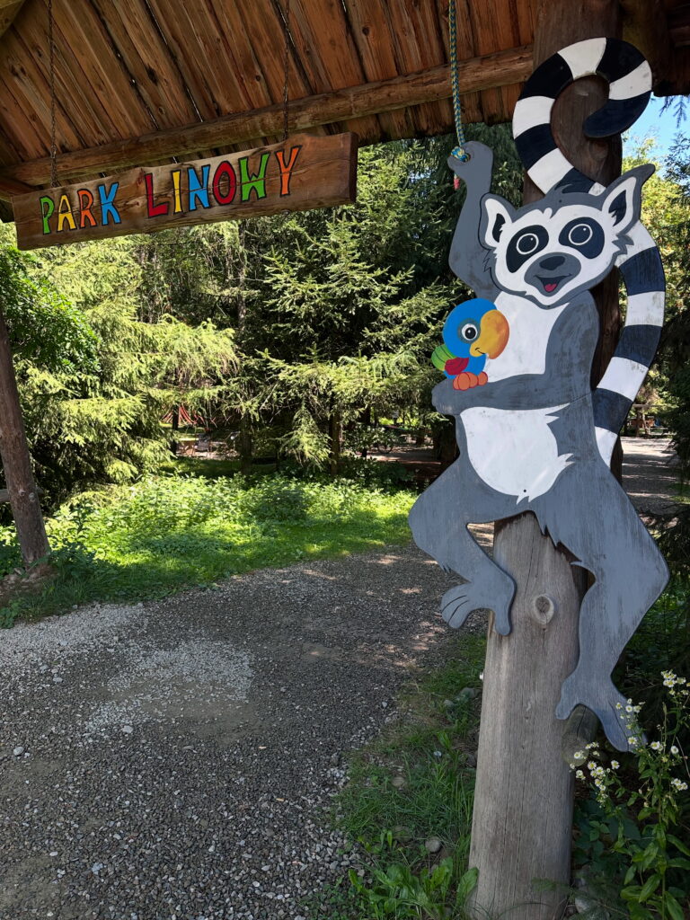 SŁOŃCE wróciło – ZAPRASZAMY do LEMUR PARKÓW LINOWYCH!